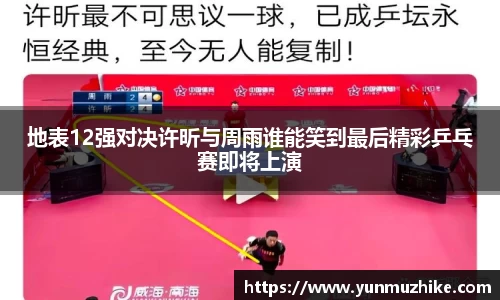 地表12强对决许昕与周雨谁能笑到最后精彩乒乓赛即将上演